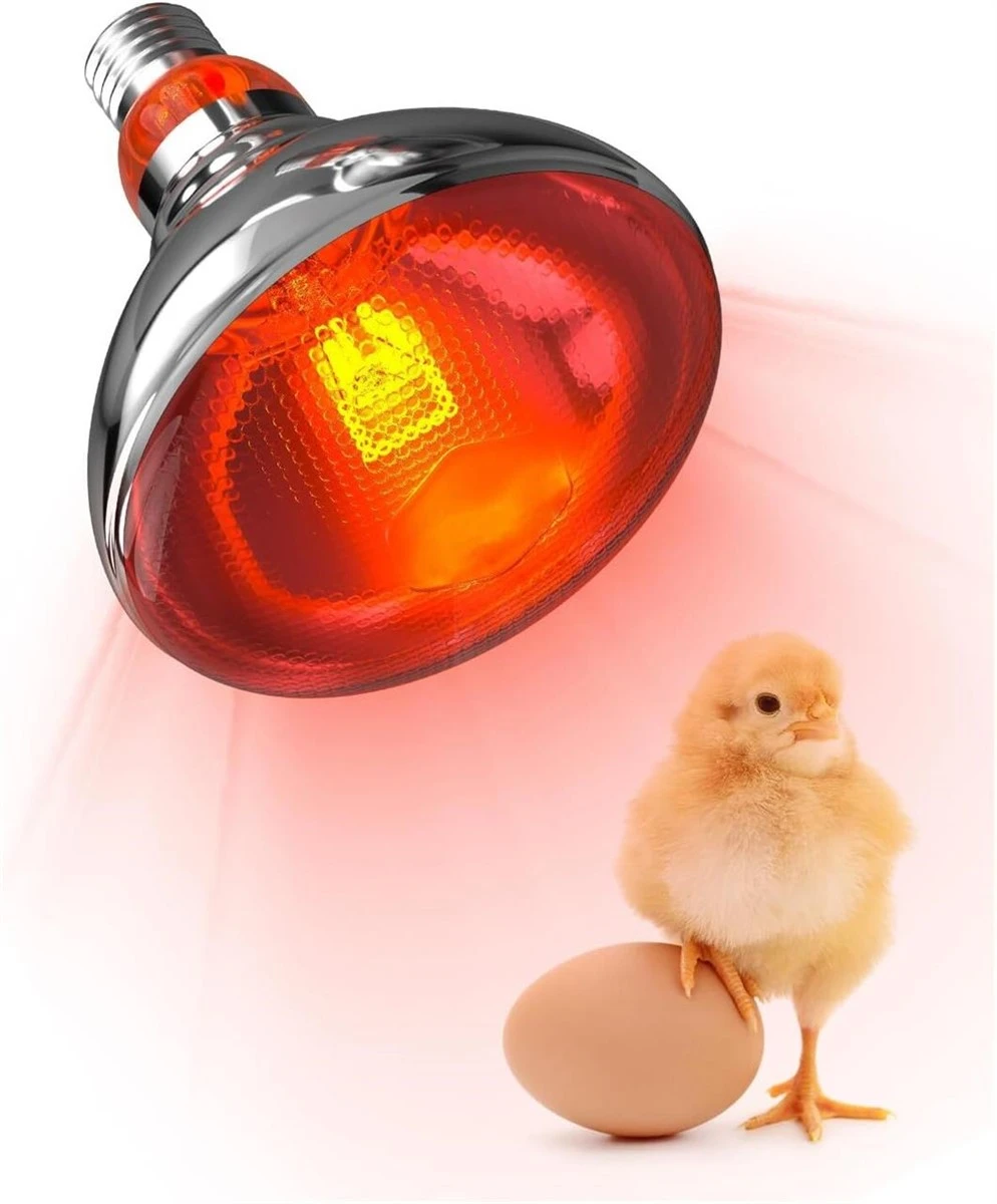 150W Infrared Adjustable Heat Lamp Bulb for Brooding Animals