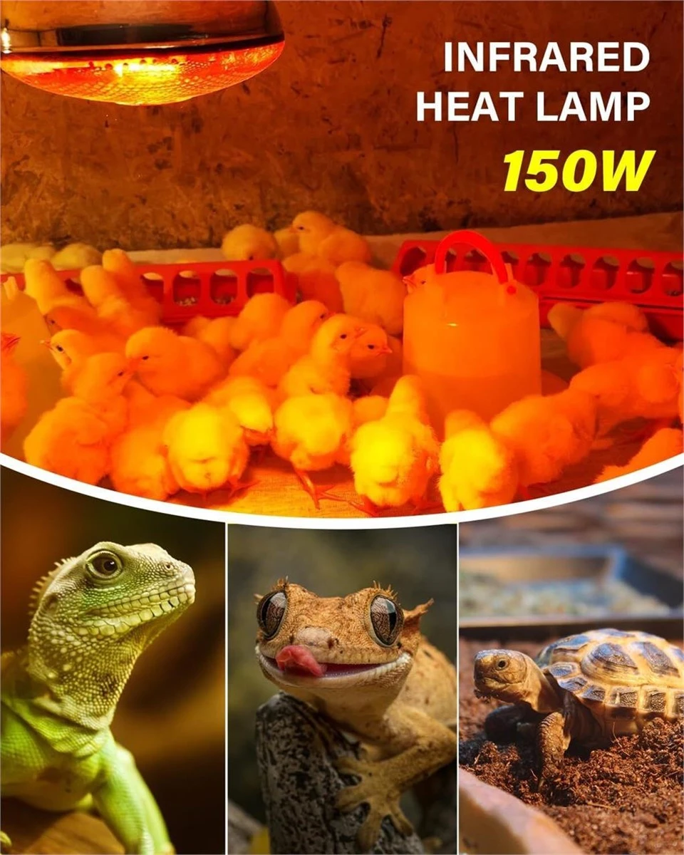 150W Infrared Adjustable Heat Lamp Bulb for Brooding Animals - photo 2