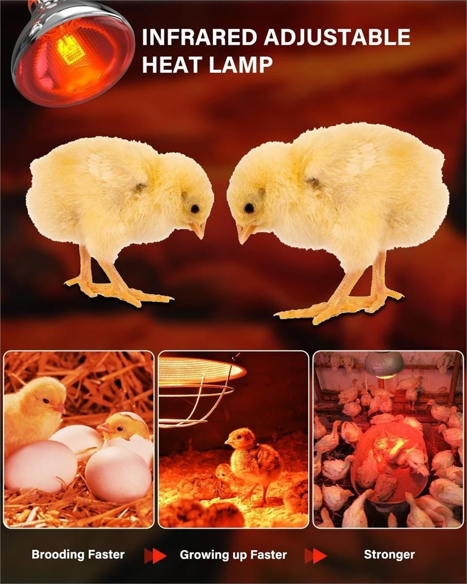 150W Infrared Adjustable Heat Lamp Bulb for Brooding Animals - photo 4