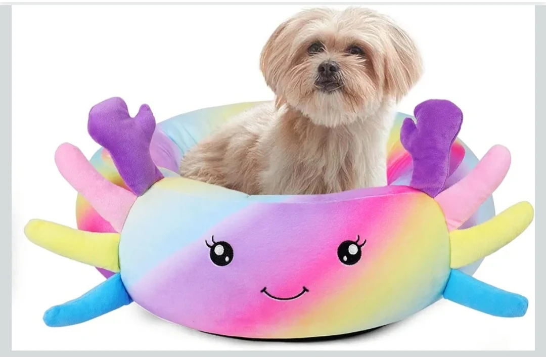 24" Rainbow Axolotl Pet Bed