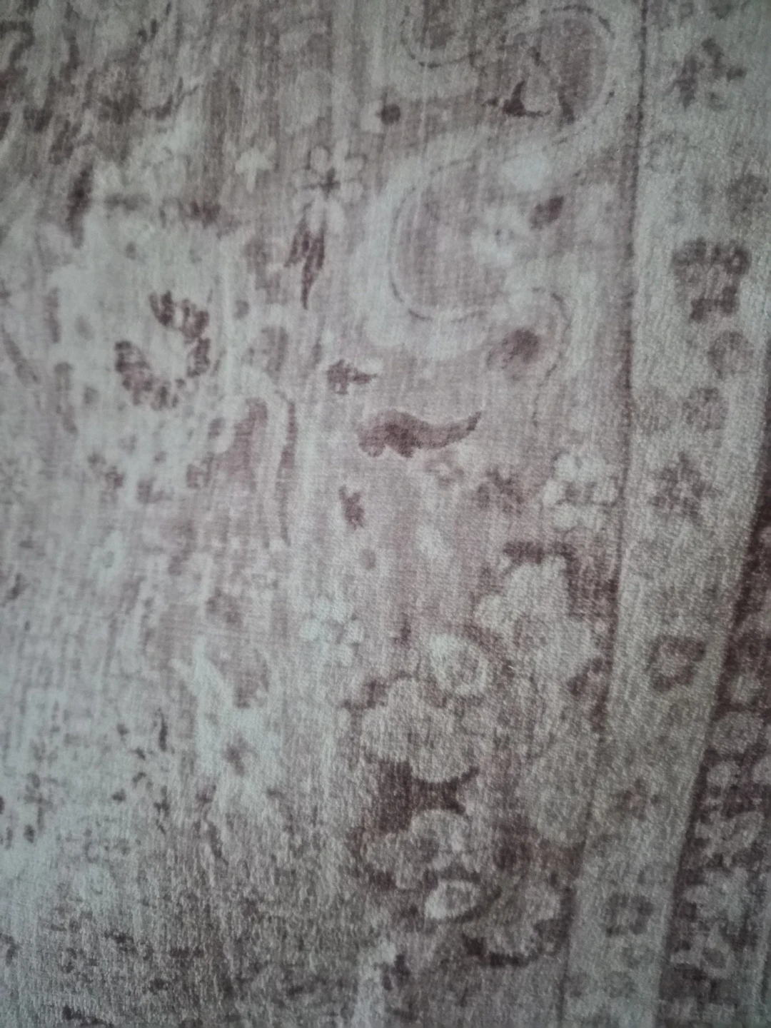 Brand new Area Rug 5'x7' - photo 3