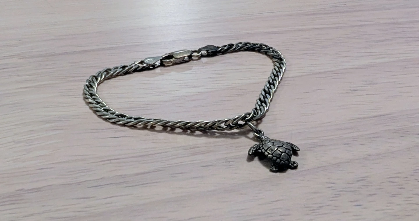 Silver Turtle Charm Bracelet - photo 2
