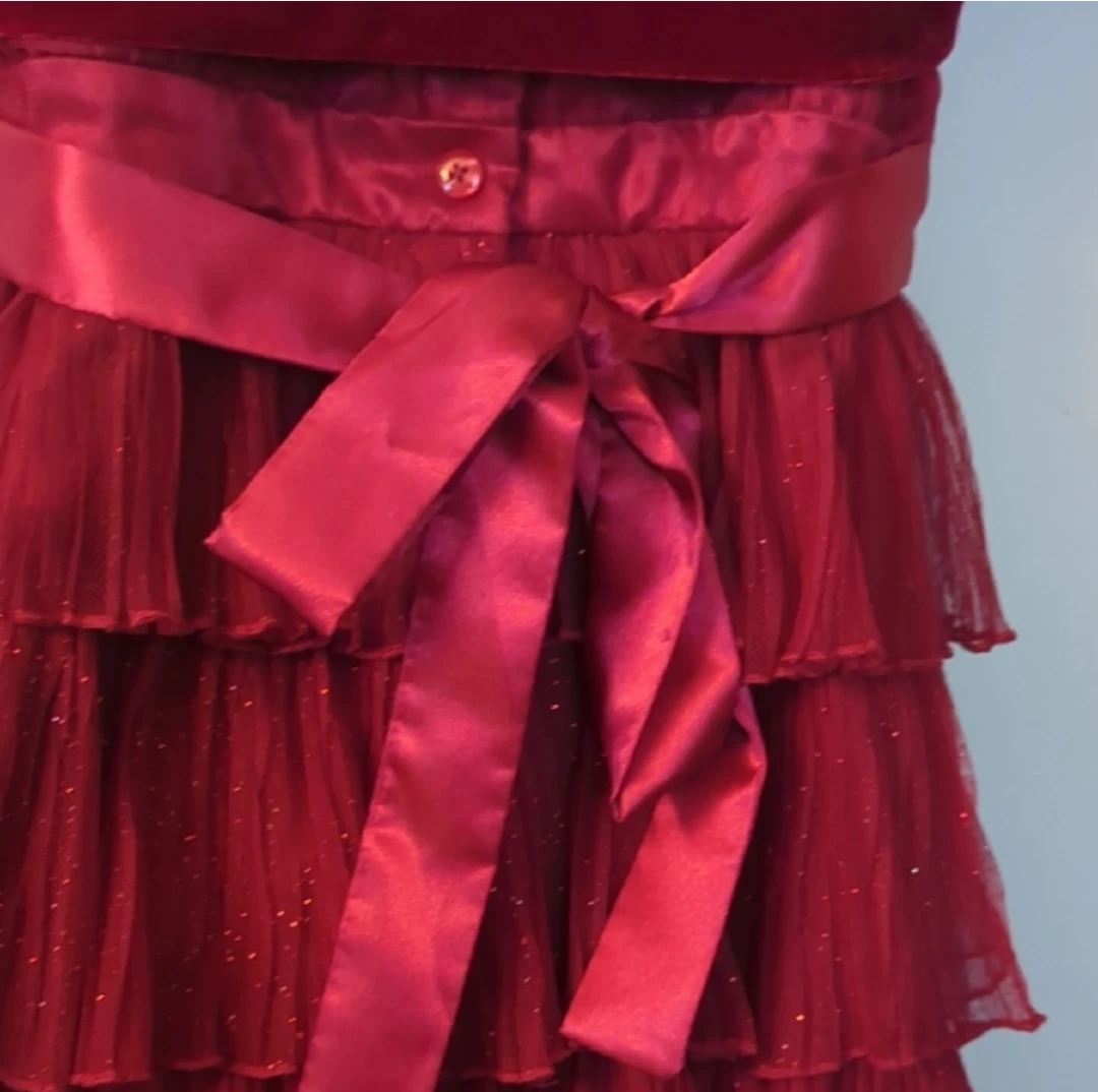 Jona Michelle Red Velvet Tulle Dress Size 8 - photo 4