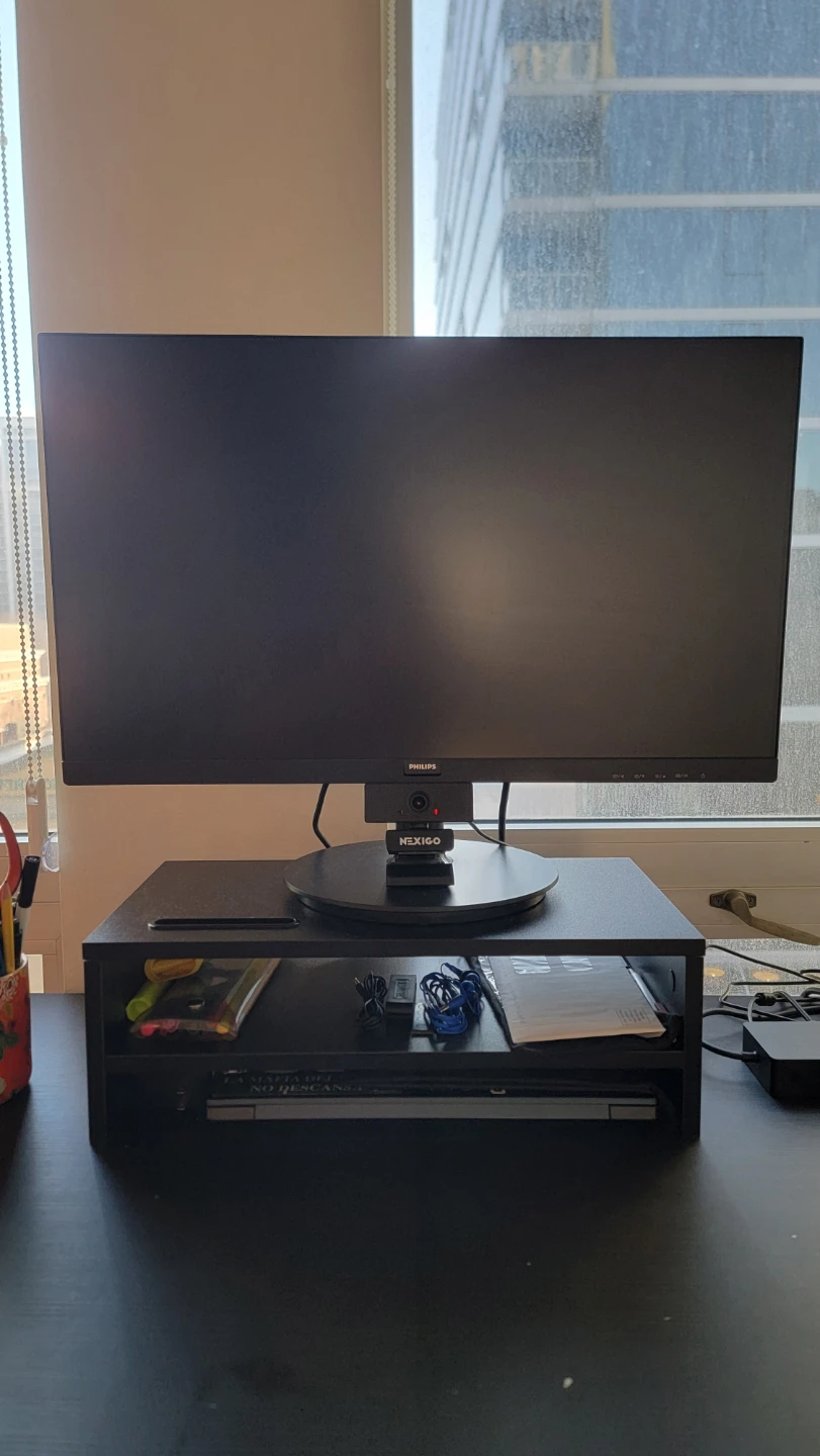 Philips 241V8 LCD Monitor