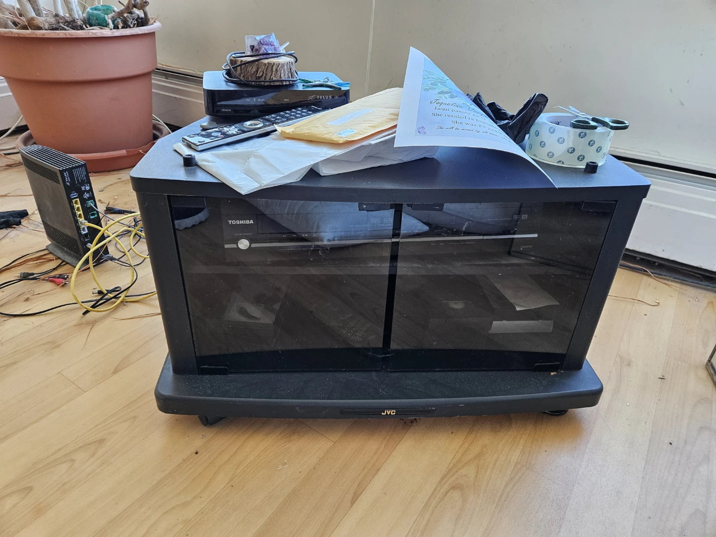 Last stuff/Last Day! 30+ year old dragon tree + TV stand - photo 2