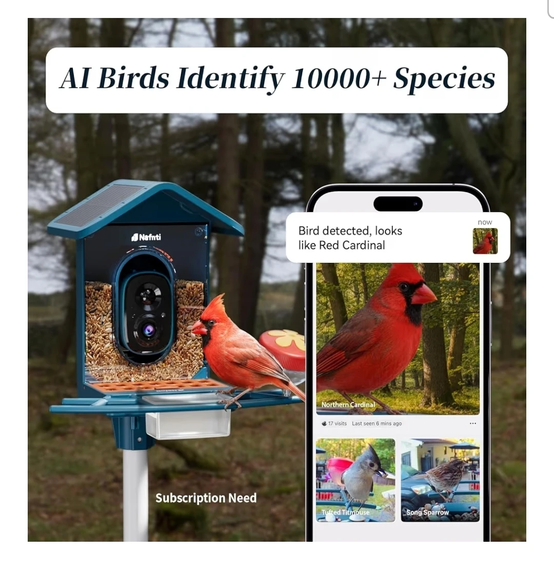 Smart Bird Feeder with AI Camera - photo 4