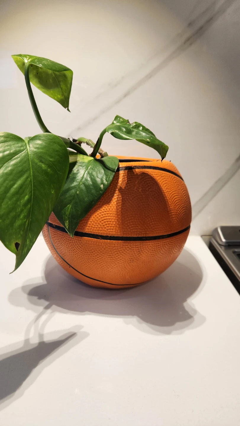 Upcycled basketball planter and pothos plant - photo 3