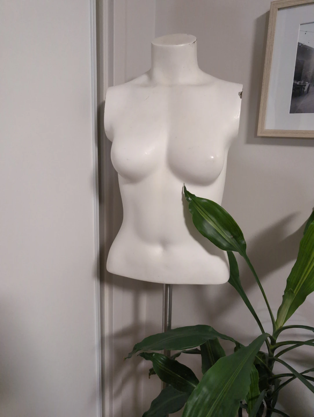 Mannequin top