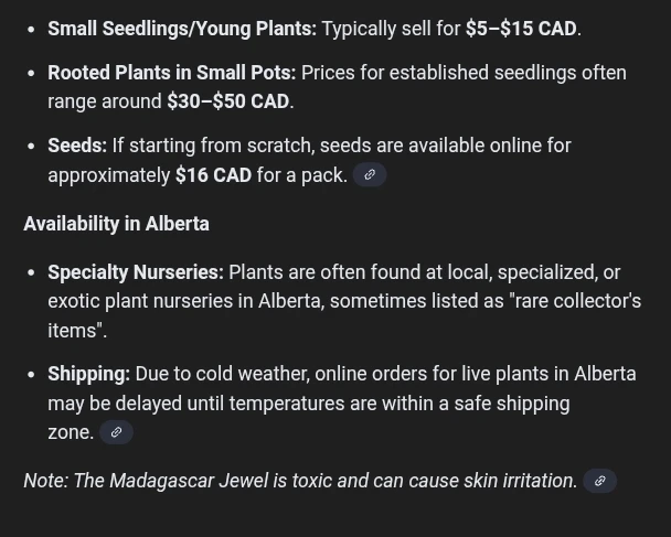 13 Madagascar Jewel Seedlings updated photo 🌱 - photo 2