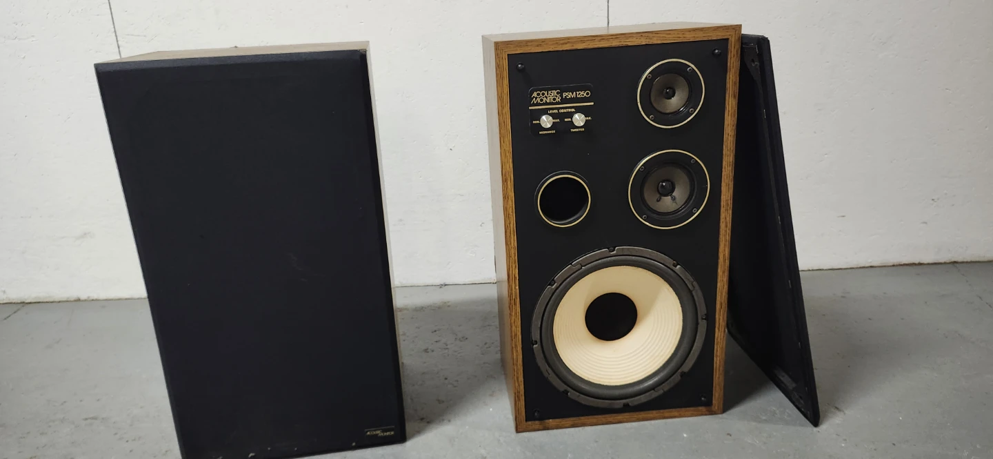 Acoustic Monitor PSM 1250 Speakers - photo 2