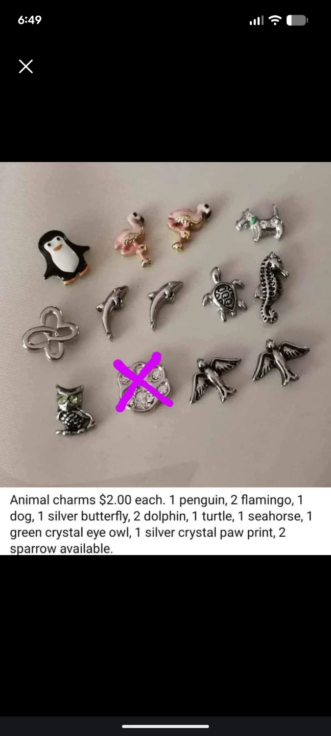 Floating Locket Charms - photo 2