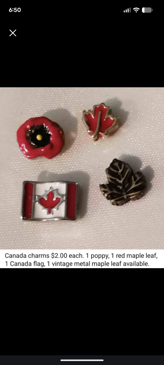 Floating Locket Charms - photo 4