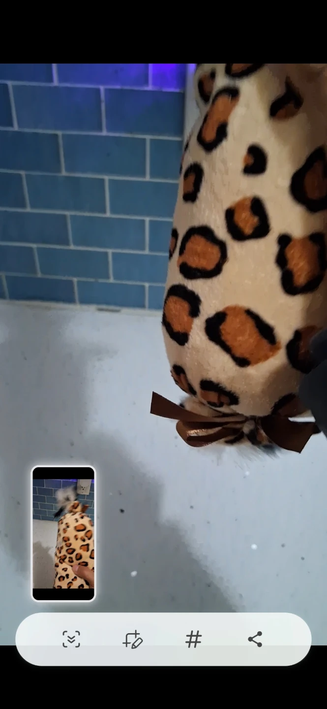 Leopard Print Plush Cat Toy - photo 2