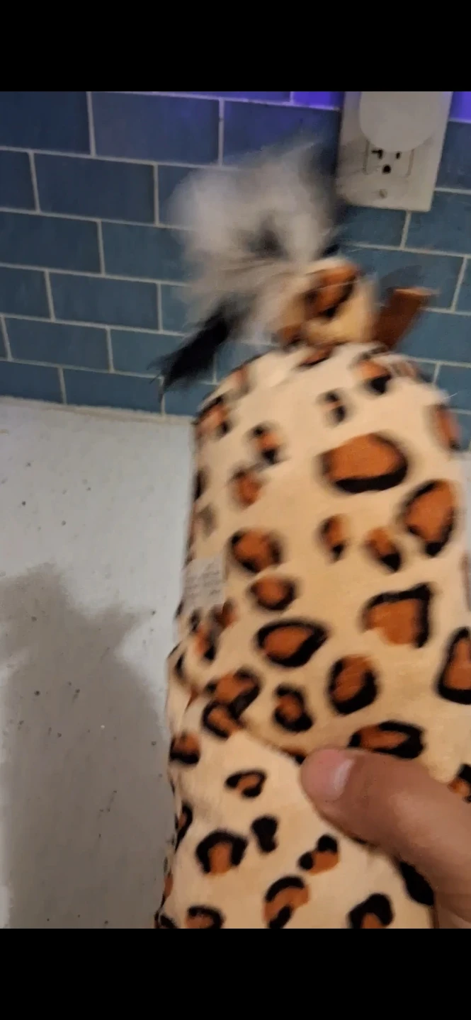 Leopard Print Plush Cat Toy - photo 3