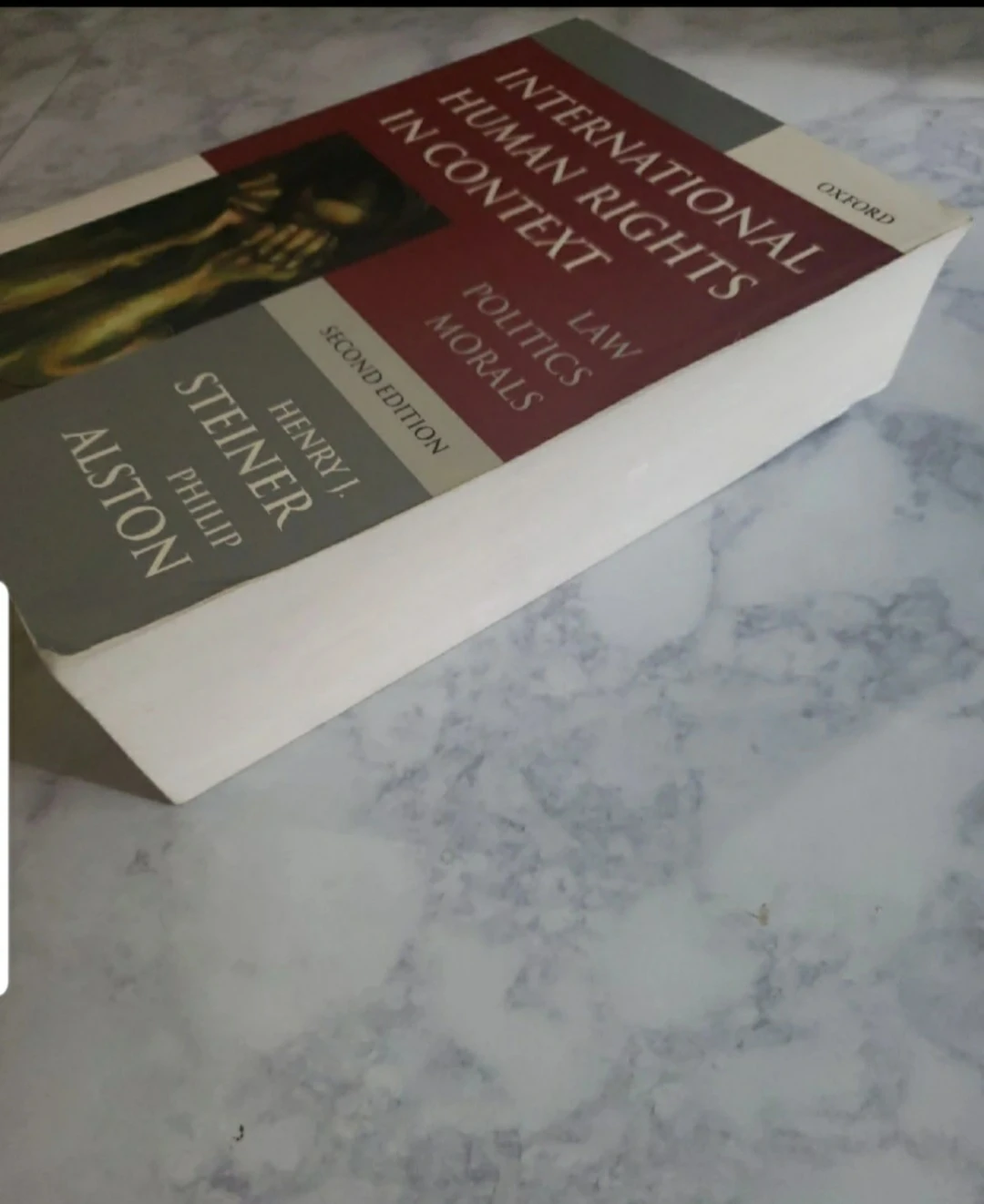 International Human Rights in Context Book (2nd Edition) - photo 2