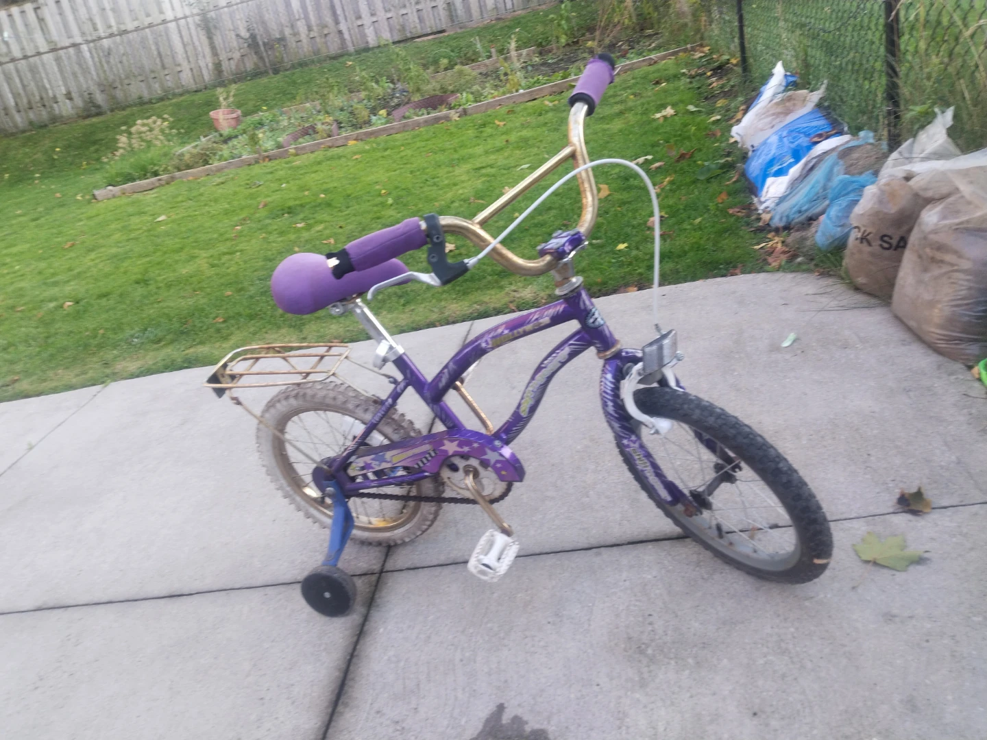 Kids' Bicycle with Training Wheels