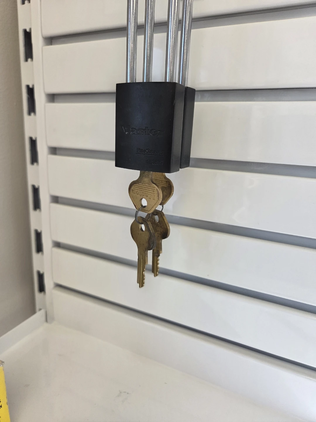 Master Lock Padlock with 2 Keys
