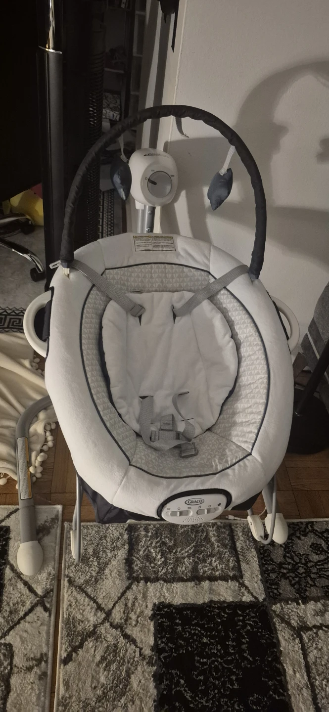 Graco Baby Swing