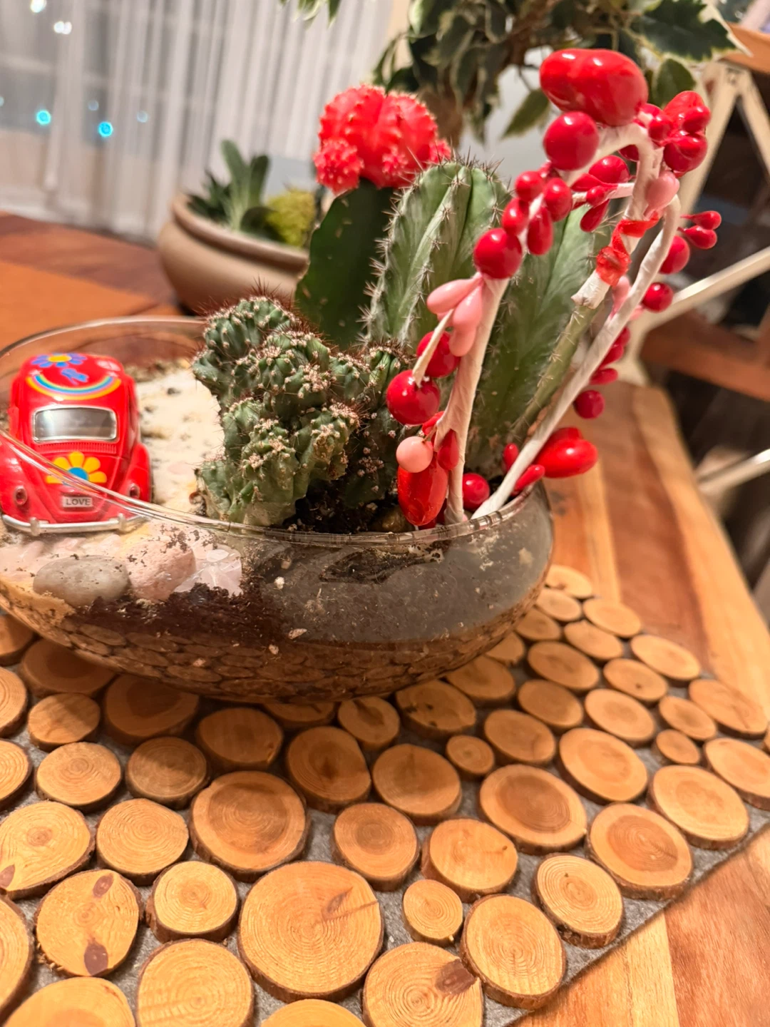 Cactus Terrarium with Decorative Car🏆 - photo 3
