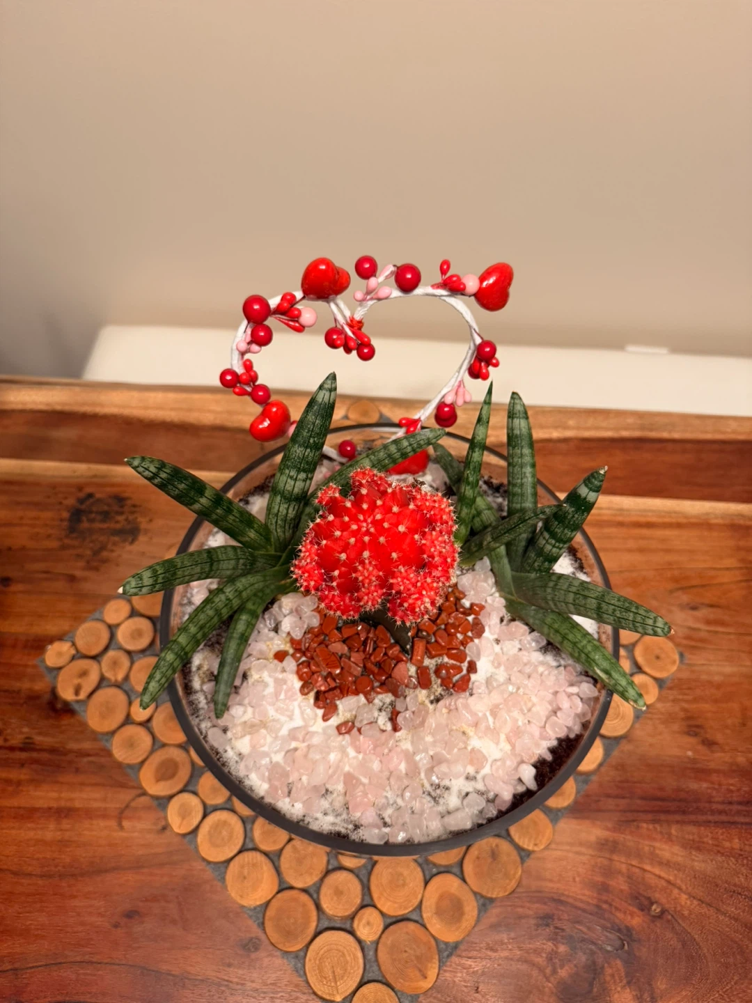 Succulent and Cactus Terrarium🏆 - photo 4