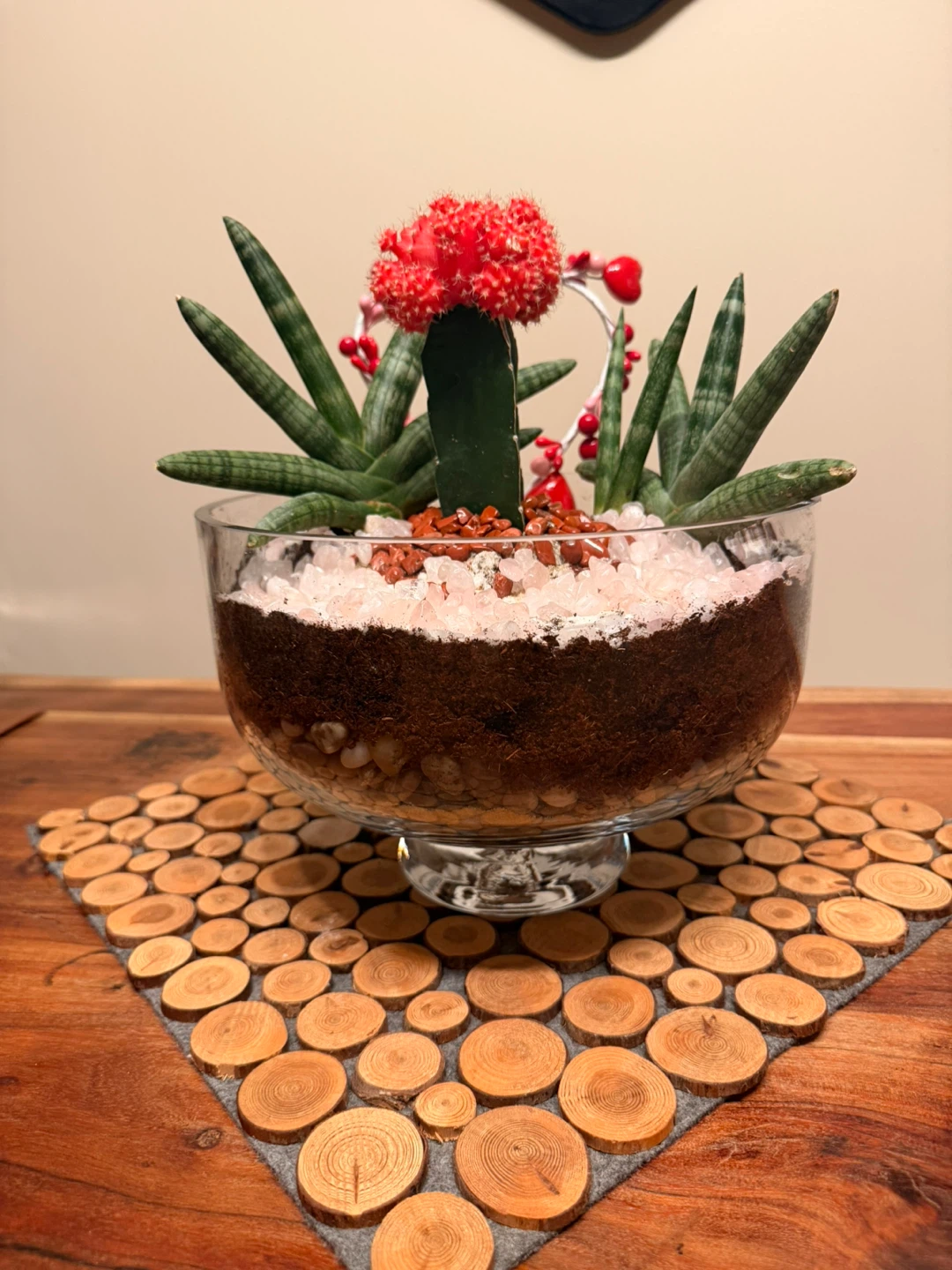 Succulent and Cactus Terrarium🏆