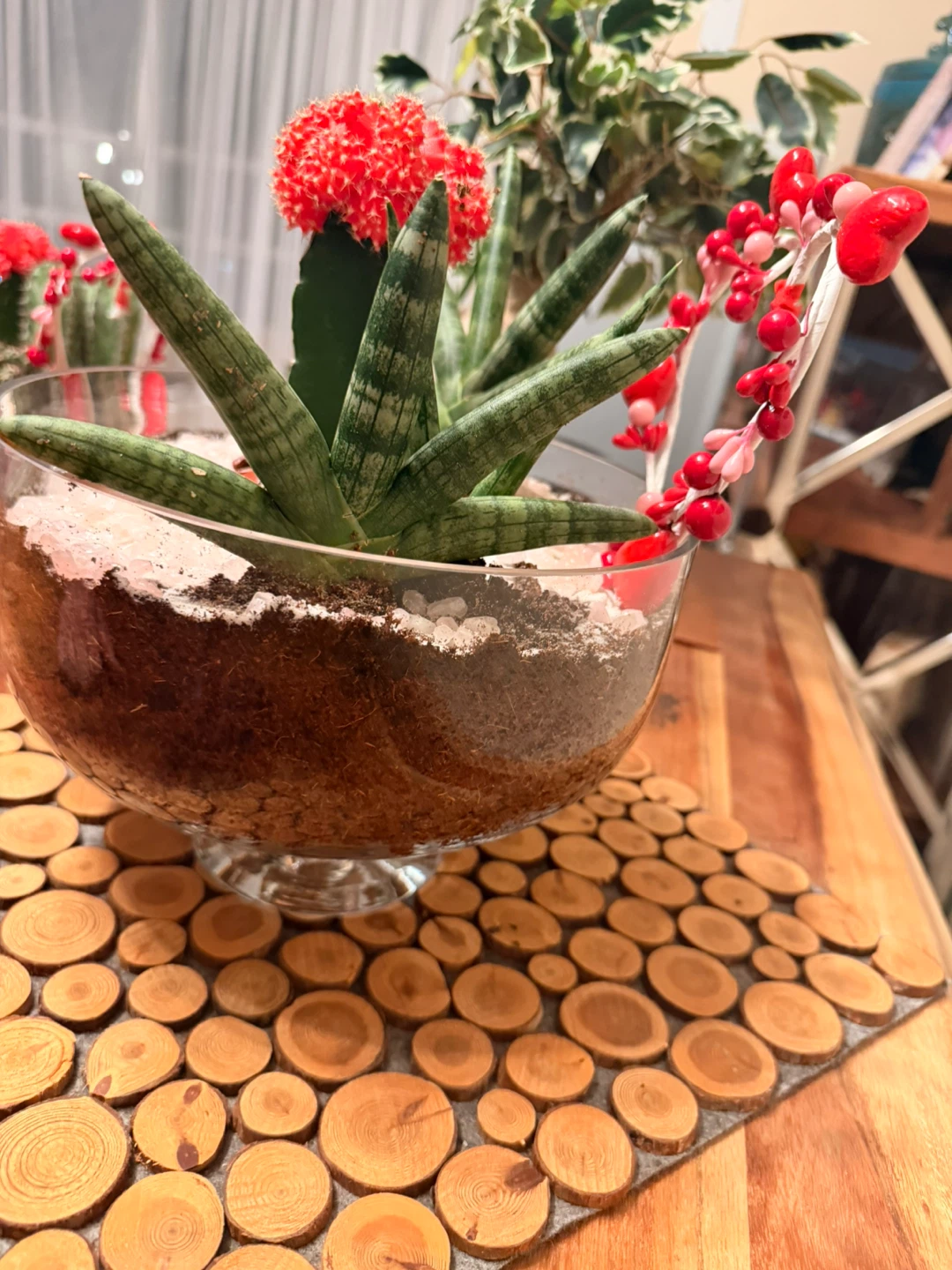 Succulent and Cactus Terrarium🏆 - photo 3