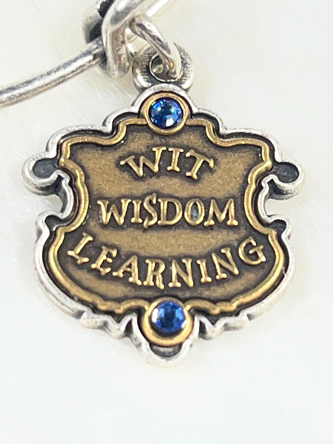 Alex and Ani Wit Wisdom Learning Charm Bangle Bracelet