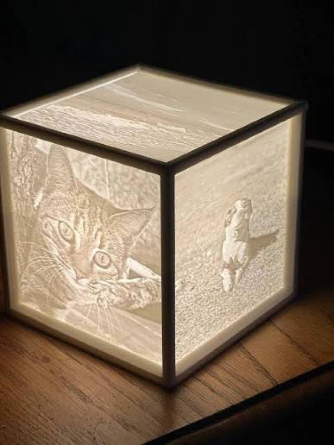 Custom Lithophane (read description) - photo 2