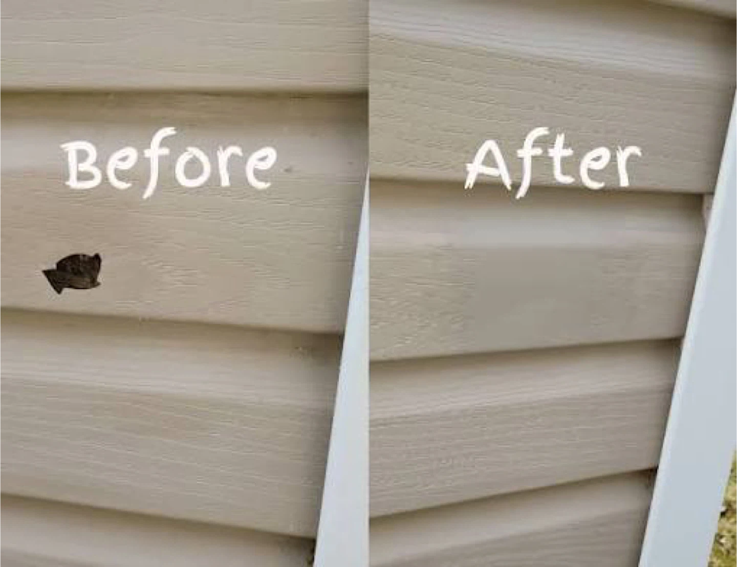 Siding repairs & renovations - photo 2