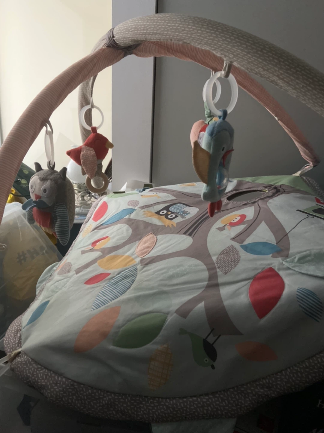 Baby Play Gym Mat with Toys