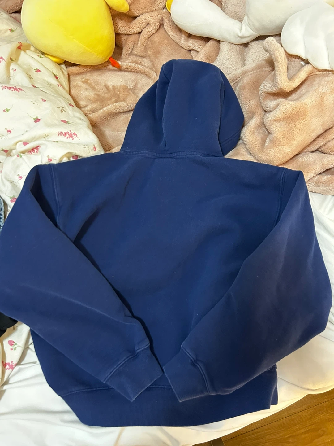 Byron Blue Perfect Fit Aritzia Hoodie - photo 2