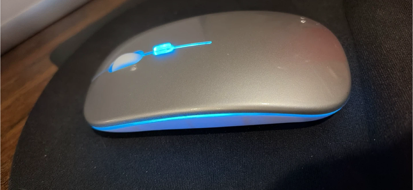 Wireless Ergonomic Mouse with LED Lights