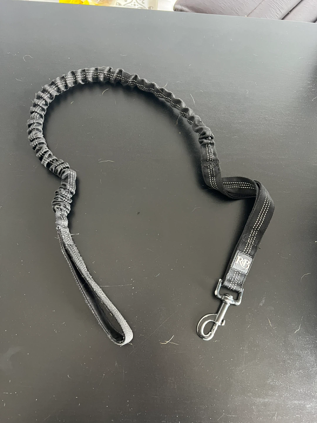 RB Bungee Dog Leash