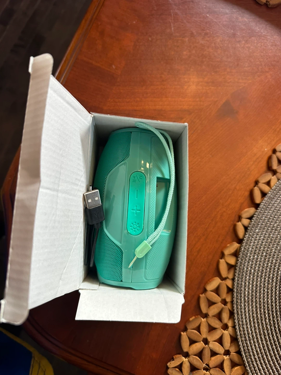Teal Portable Bluetooth Speaker with USB Charging Cable
