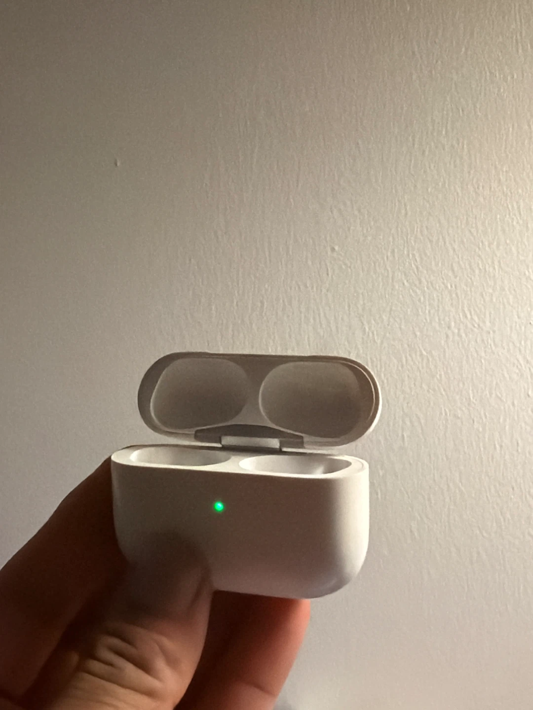 Apple AirPods Pro Charging Case