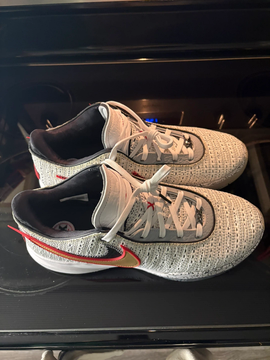 Nike Basketball Shoes LeBron XX