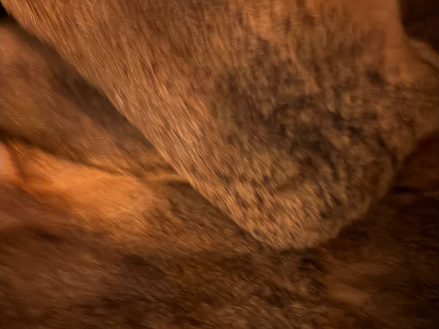Vintage Fur Coat - photo 3