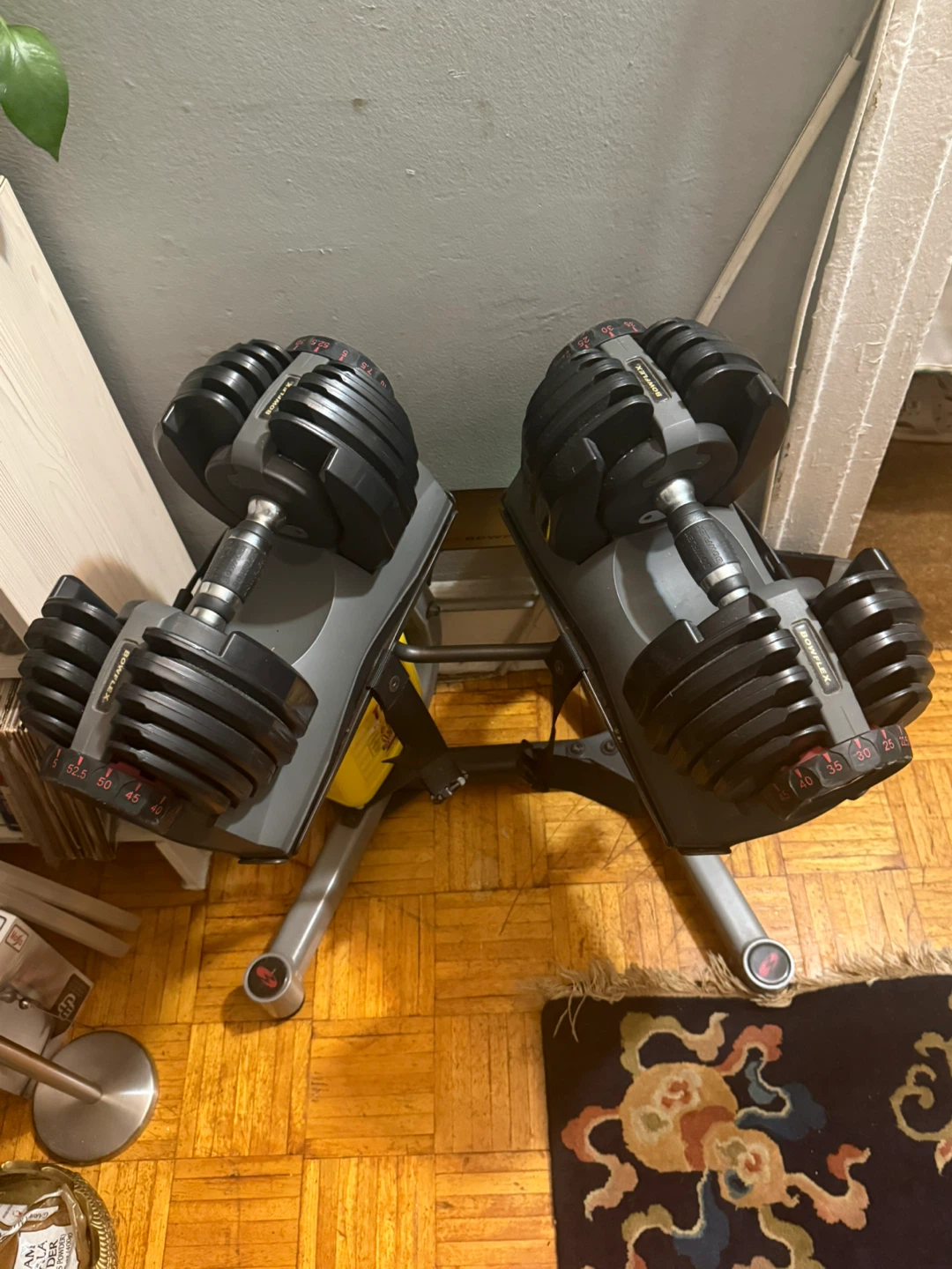 Bowflex SelectTech Adjustable Dumbbells (Pair) - photo 2