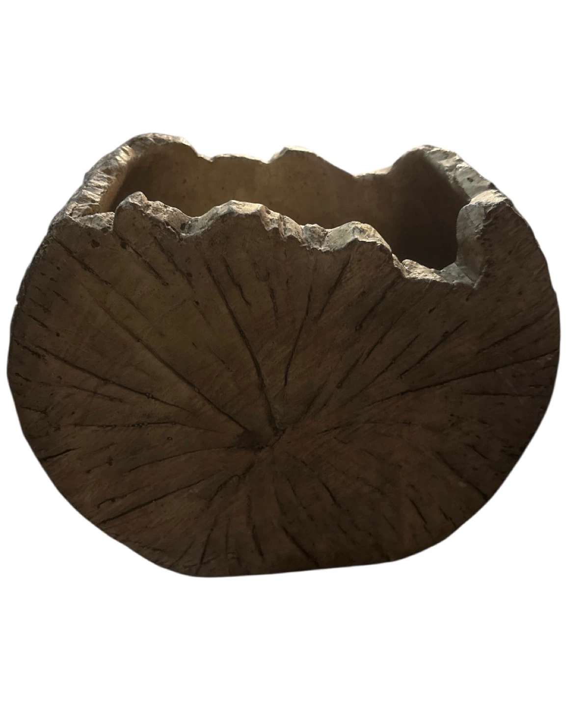 UGC Log Planter ceramic - photo 4