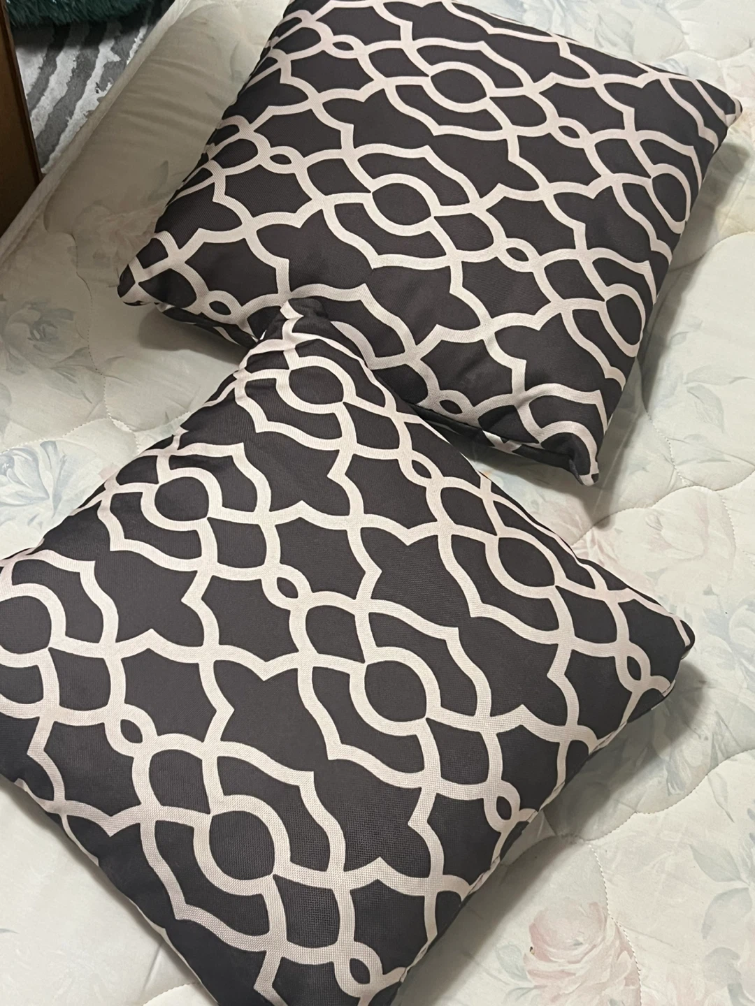 Decorative Throw Pillows - Set of 2