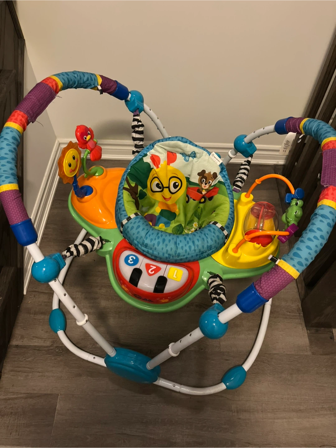 Baby Einstein Musical Jumper - photo 2