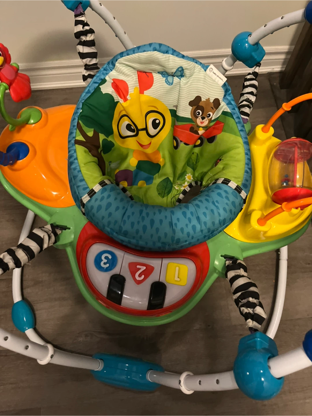 Baby Einstein Musical Jumper