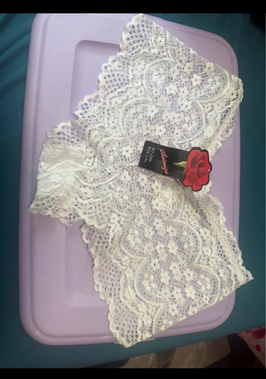 White Lace Lingerie Briefs - Size L/XL