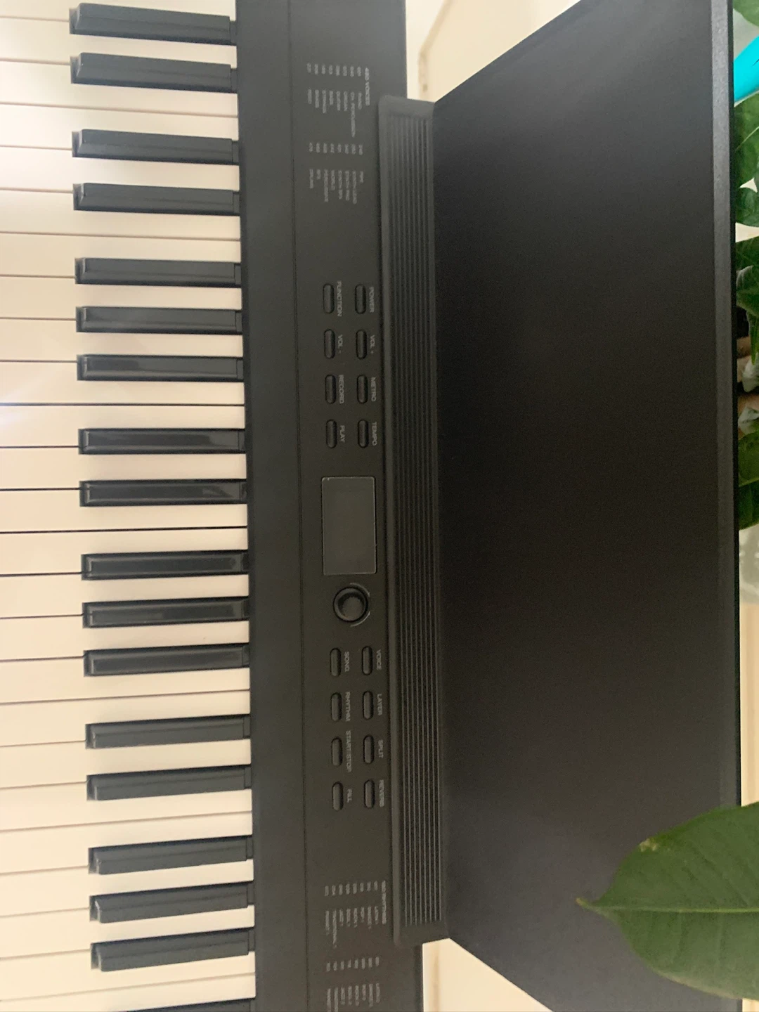 Alesis Recital 88-Key Digital Piano Keyboard with Stand - photo 3