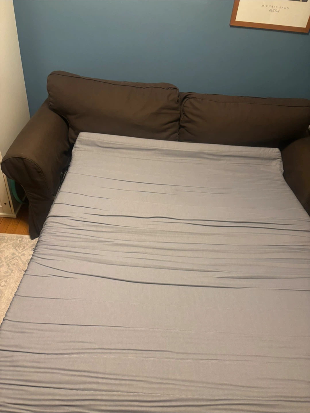 IKEA Friheten Sleeper Sofa - Brown - photo 3