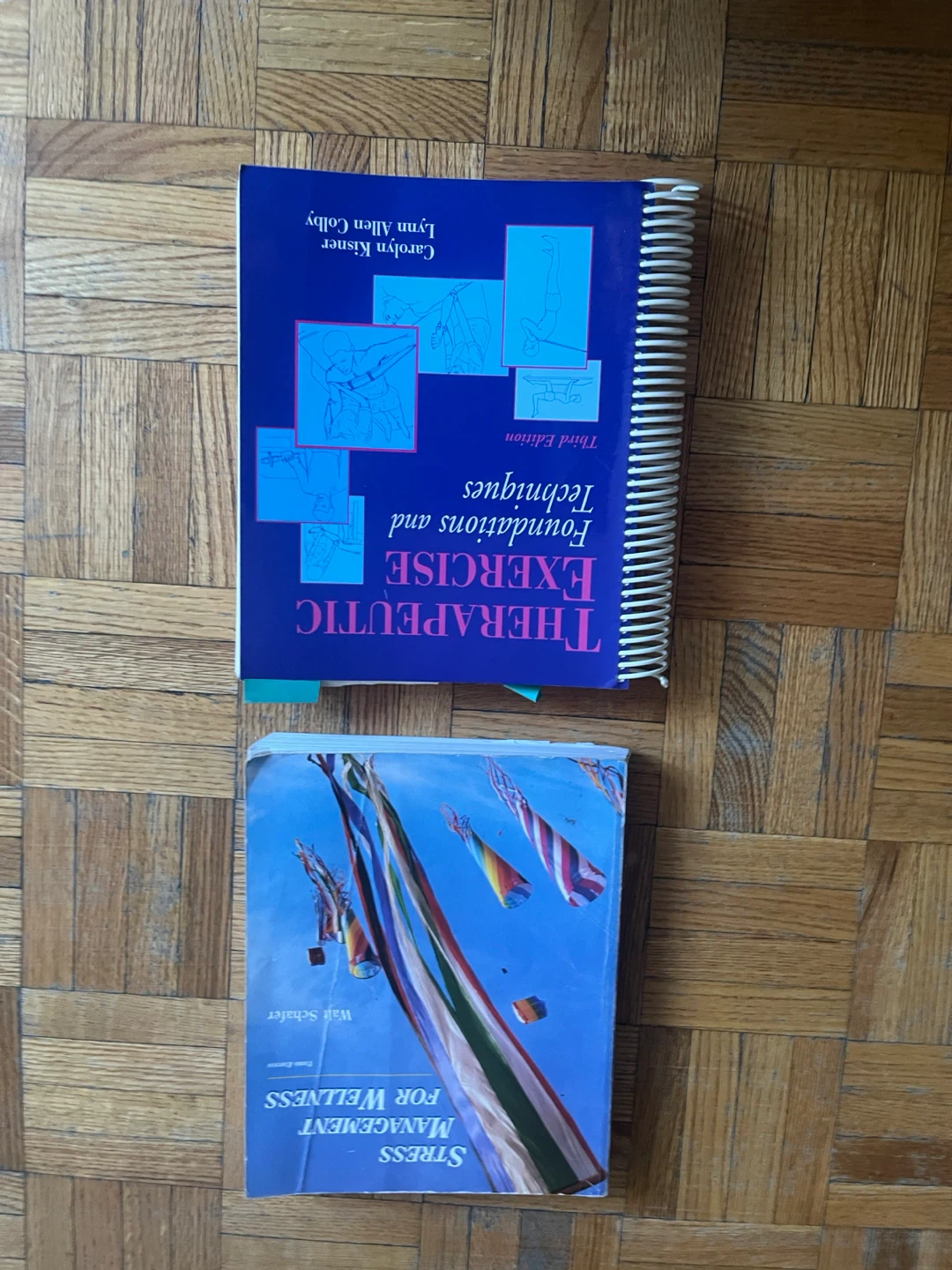 Therapeutic Exercise Foundations and Techniques Third Edition