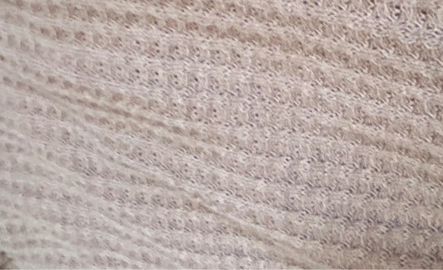 SHEIN Cropped Waffle Knit Long Sleeve Top - photo 3