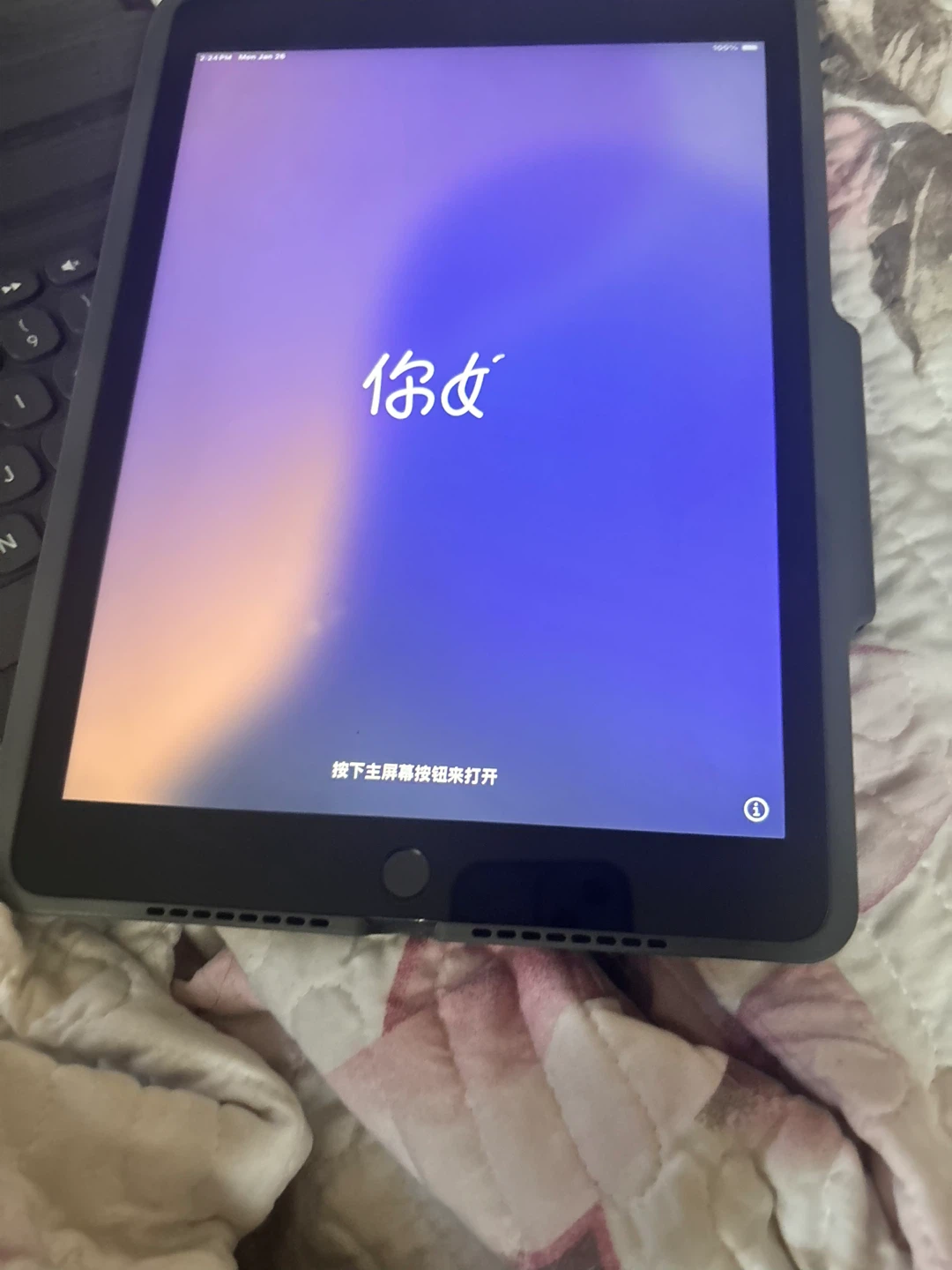 2 iPad - photo 4