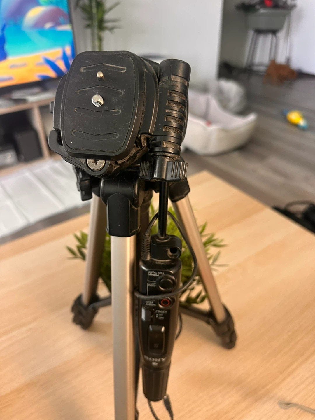 Sony Remote Control Tripod - photo 5