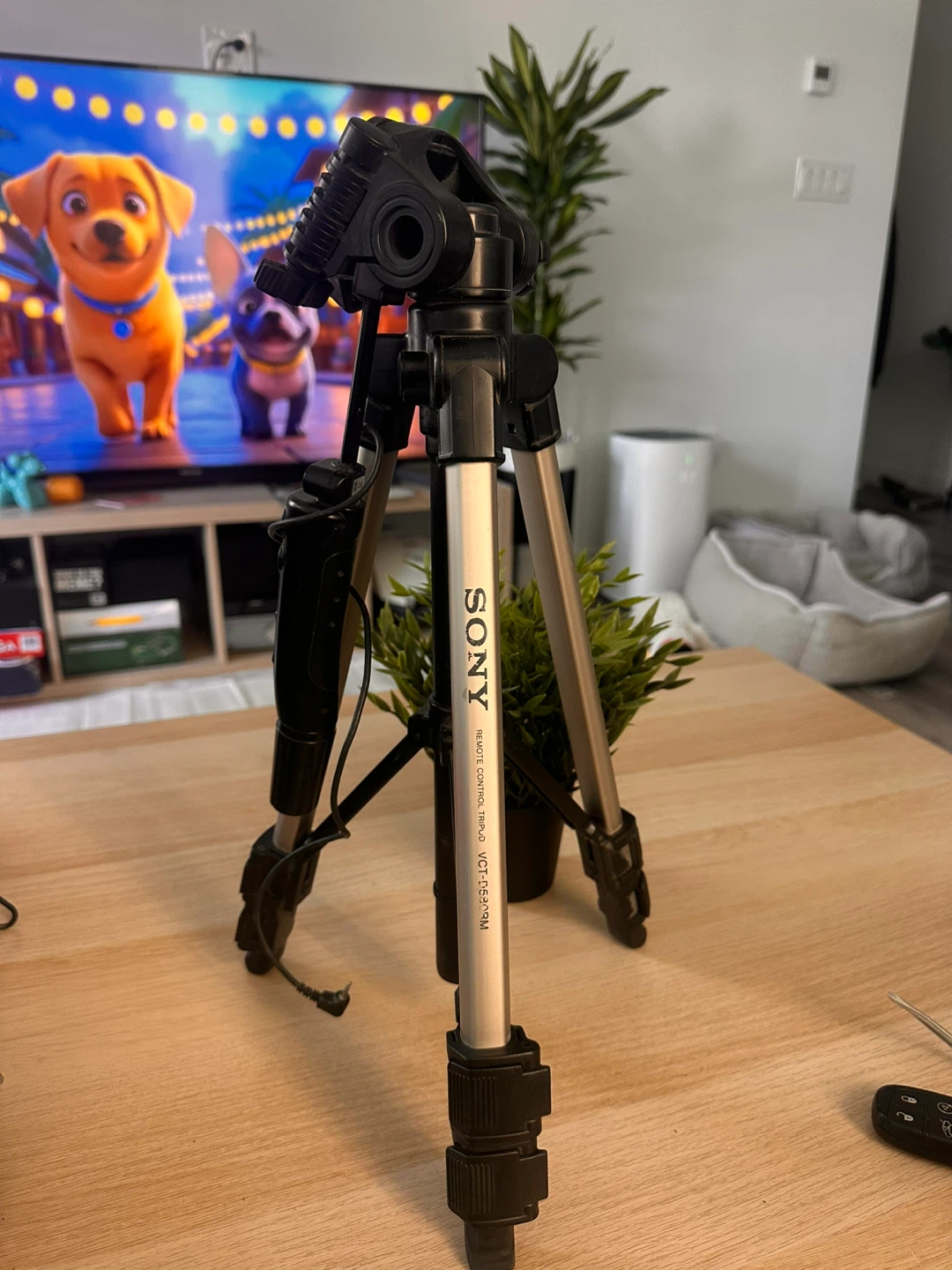 Sony Remote Control Tripod